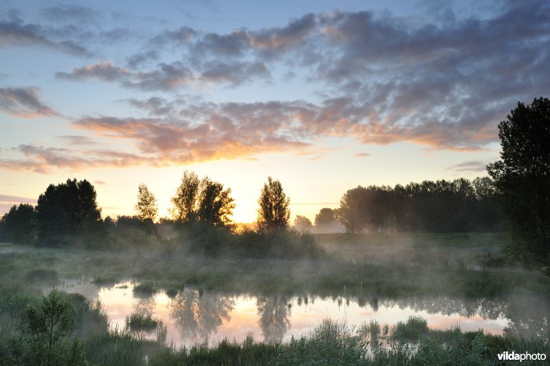 Lippenbroek