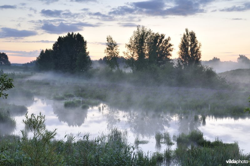 Lippenbroek