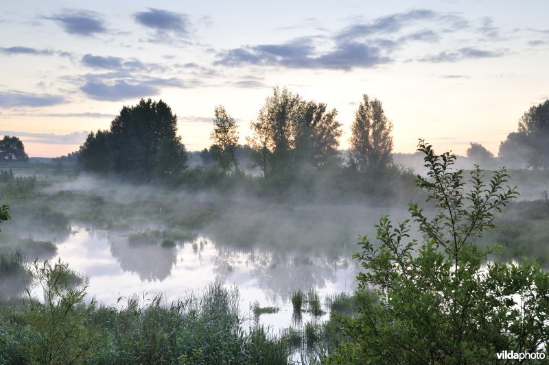 Lippenbroek
