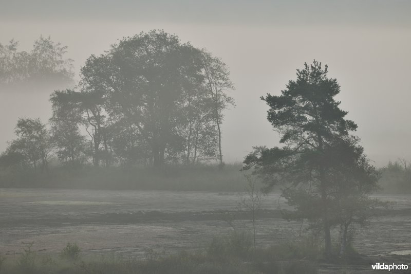 Ven Kleine Klotteraard