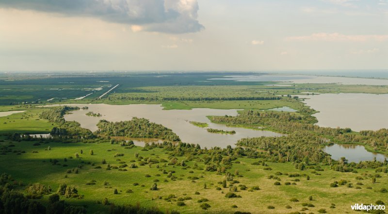 Oostvaardersplassen