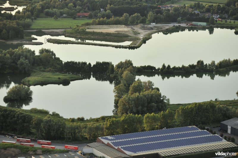 Hamvijver in Lokeren