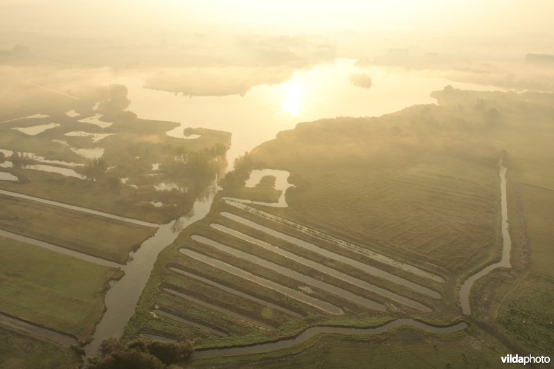 Natuurinrichtingsproject De Blankaart