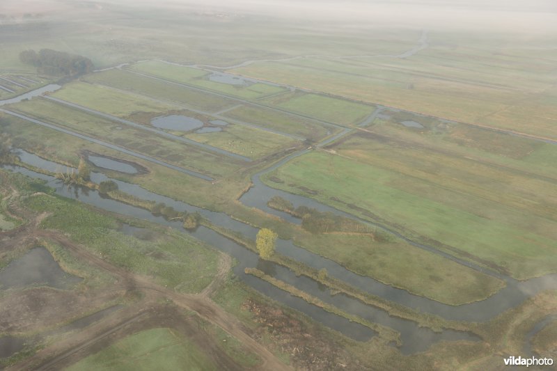 Natuurinrichtingsproject De Blankaart