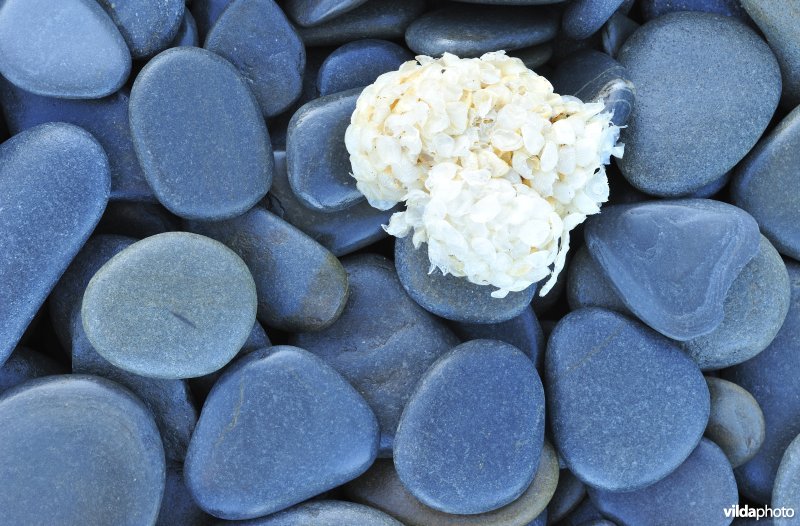 Keien op het strand