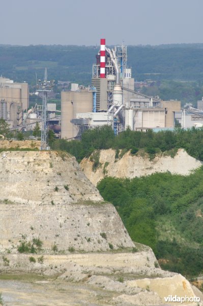 Cementindustrie te Visé