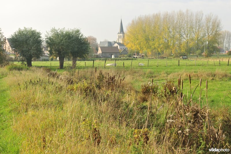 De Weimeersen deel 1 in de Kalkense meersen