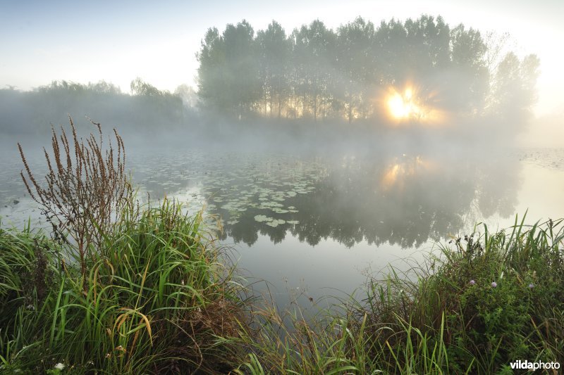 Oude Schelde in de Scherenmeersen