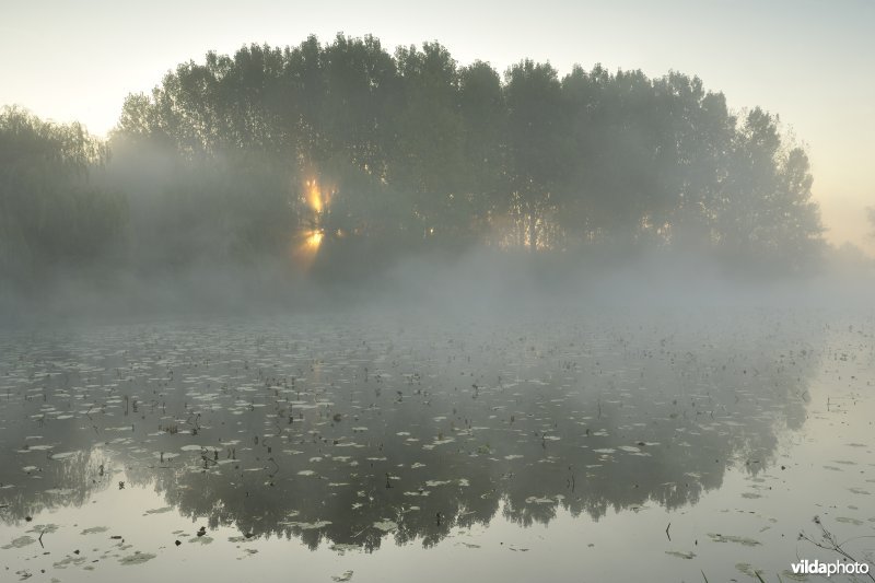 Oude Schelde in de Scherenmeersen