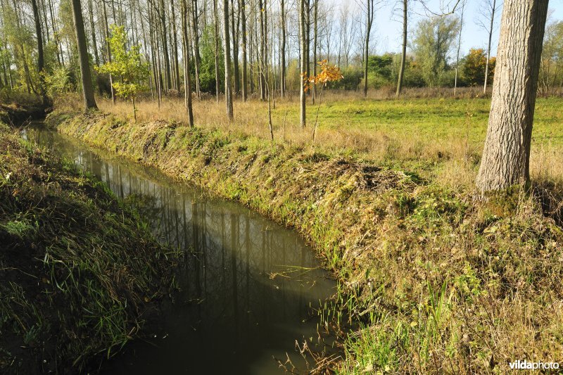 Vlassenbroekse polders