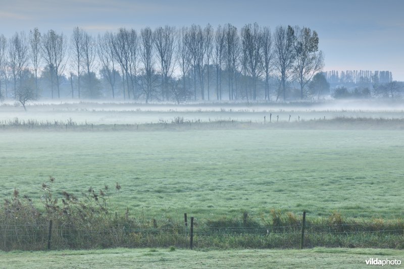 Natuurgebied Weijmeerbroek