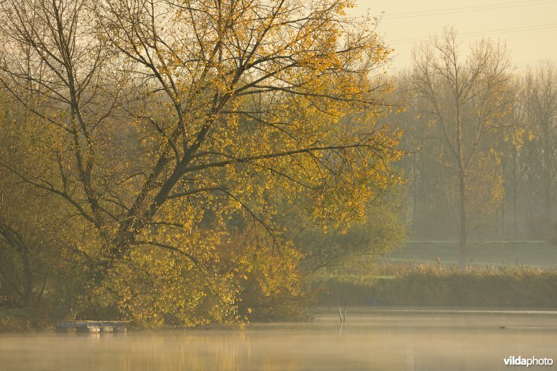 Natuurreservaat de Oude Durme