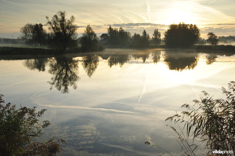 Natuurreservaat de Oude Durme