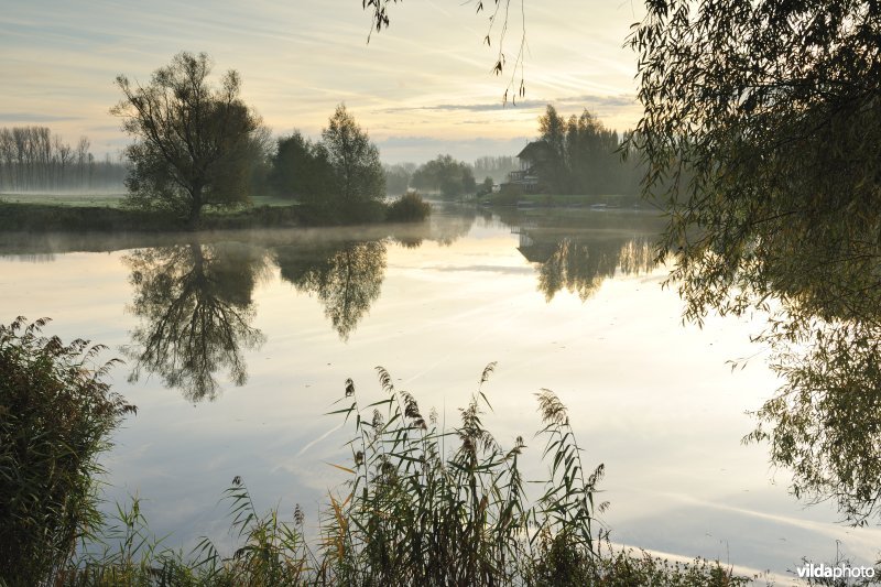 Natuurreservaat de Oude Durme