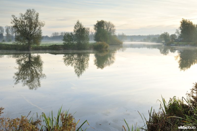 Natuurreservaat de Oude Durme