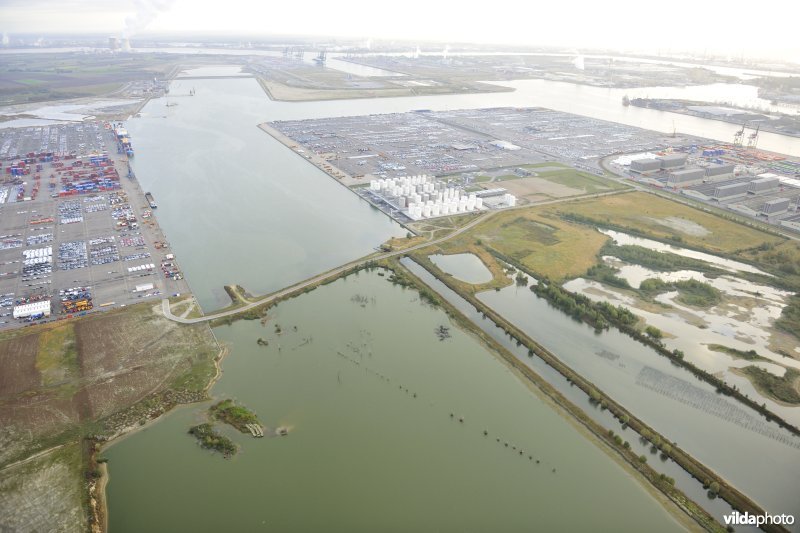 Natuurreservaat Verrebroekse Plassen