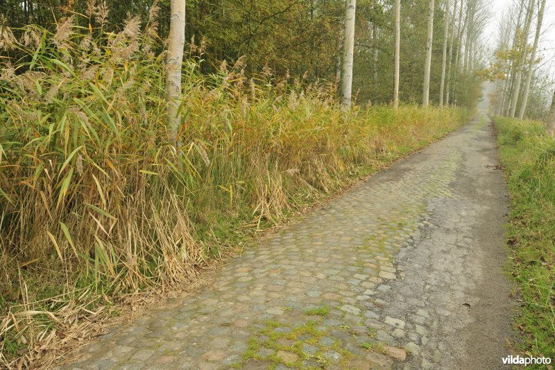 Polder van Kruibeke-Bazel-Rupelmonde