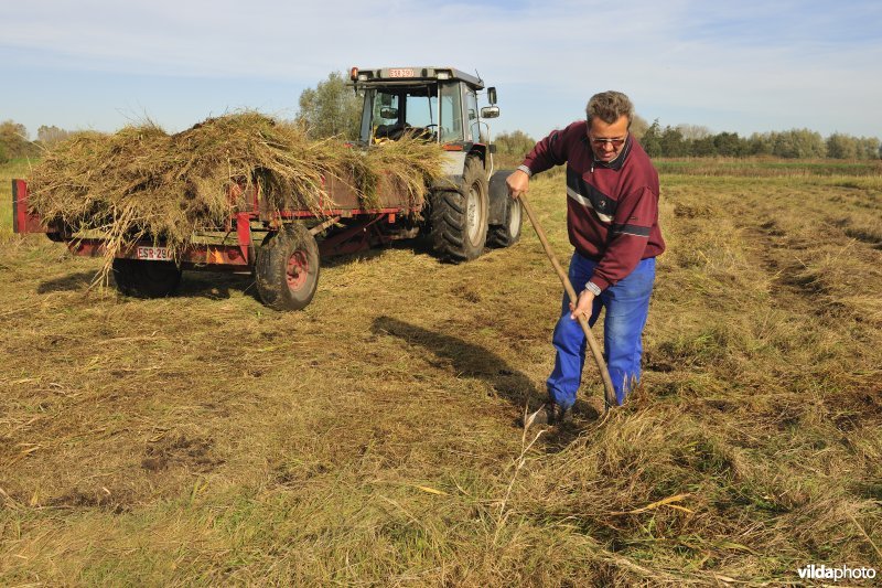 Hagenmeersen in de Durmevallei