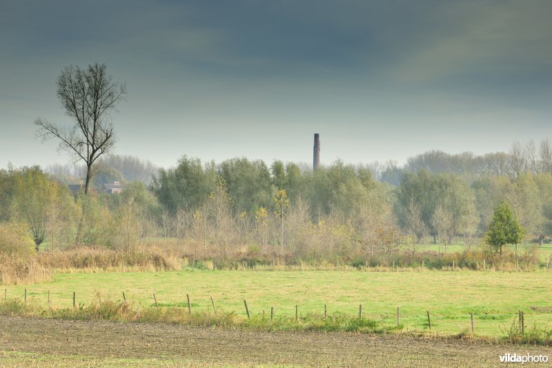 Klein Broek in Temse