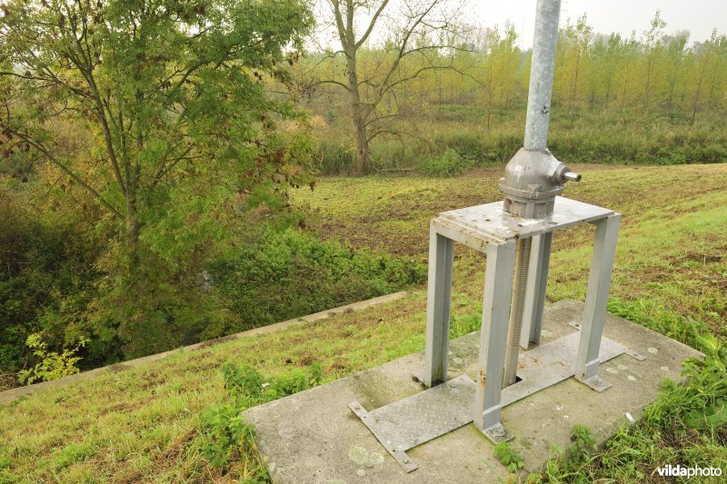 Grote Vijver deel 1 in het Zennegat