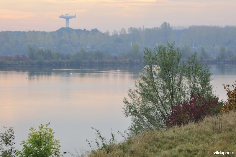 Grote Vijver deel 2 in het Zennegat