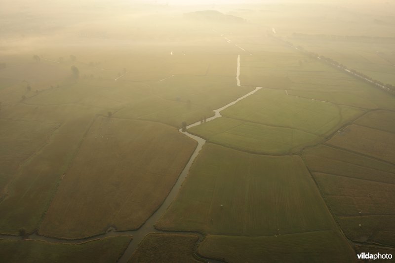 Zijdelingsgeleed