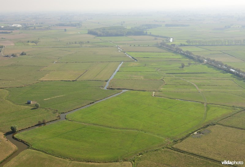 Zijdelingsgeleed