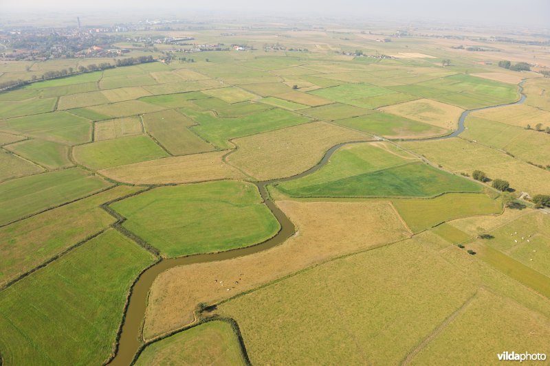 Zijdelingsgeleed