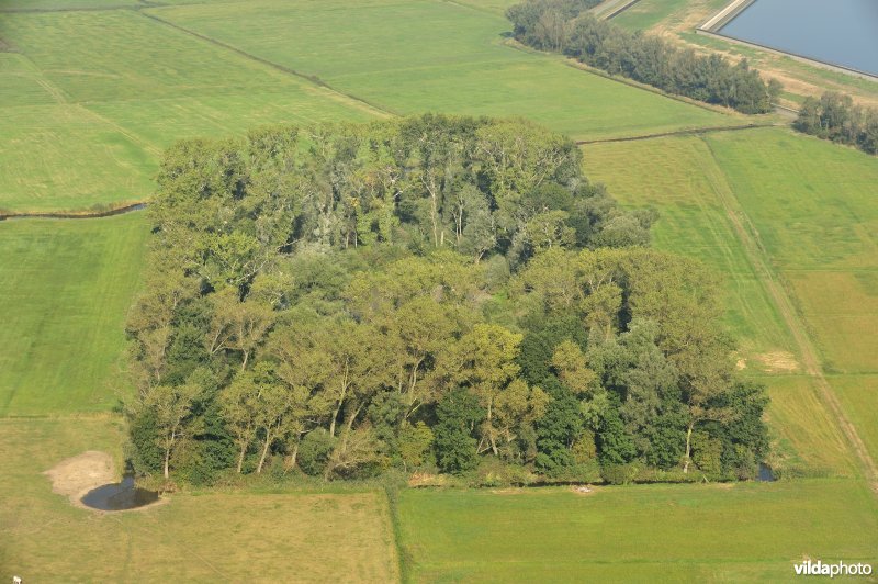 Eendekooi in de IJzerbroeken