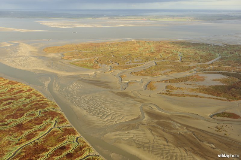 Verdronken land van Saeftinghe