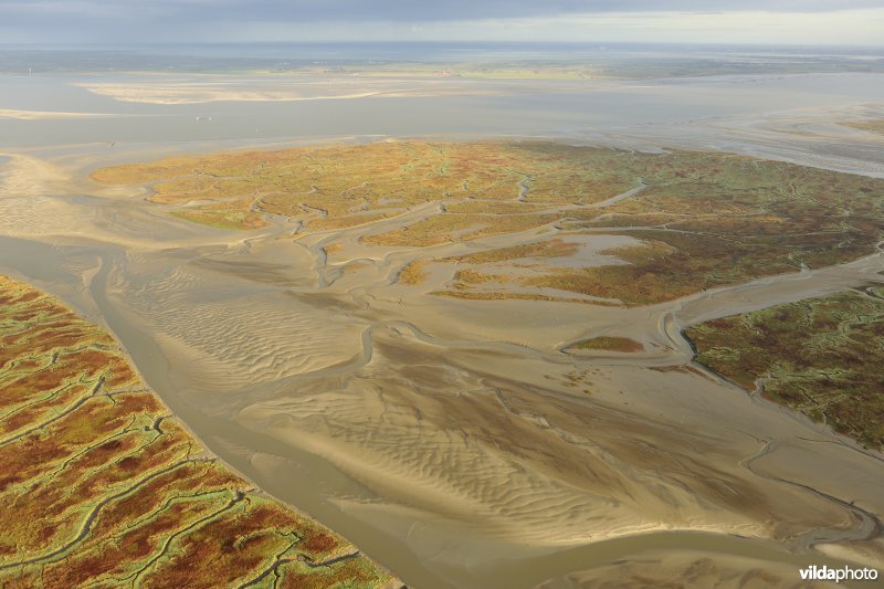 Verdronken land van Saeftinghe