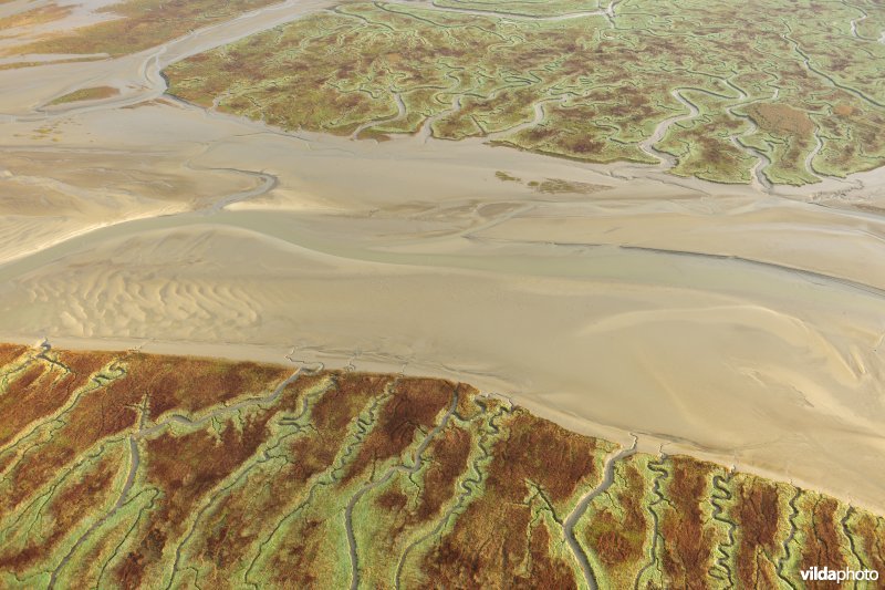 Verdronken land van Saeftinghe