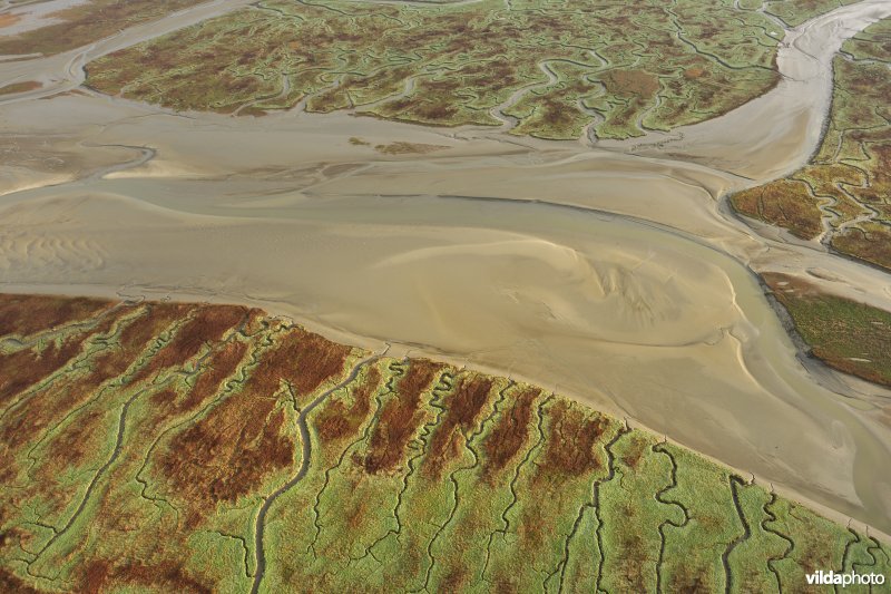 Verdronken land van Saeftinghe