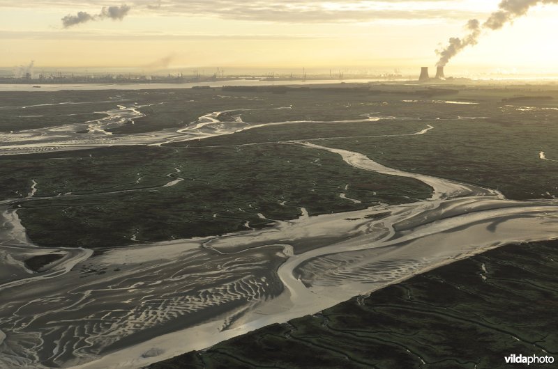 Verdronken land van Saeftinghe
