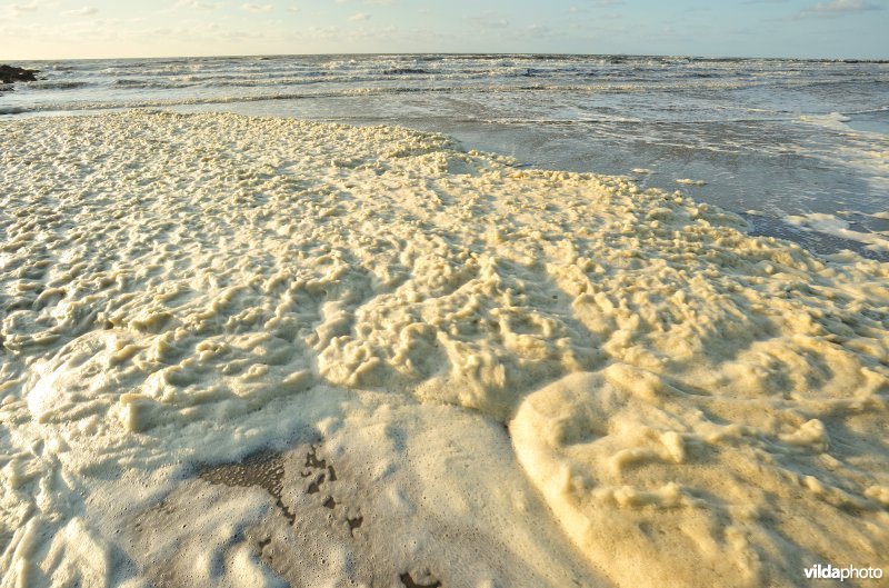Noordzeestrand