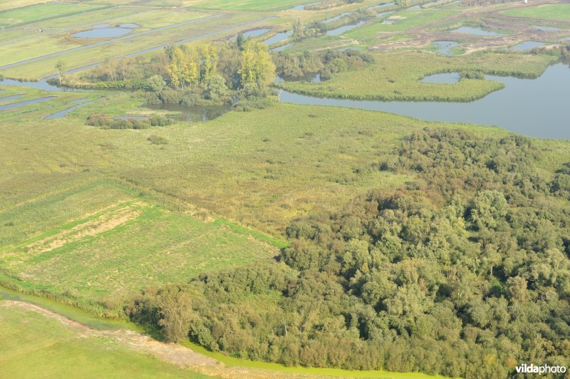 Natuurreservaat De Blankaart