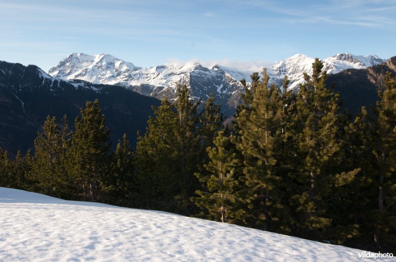 Berglandschap in de Pyreneeën