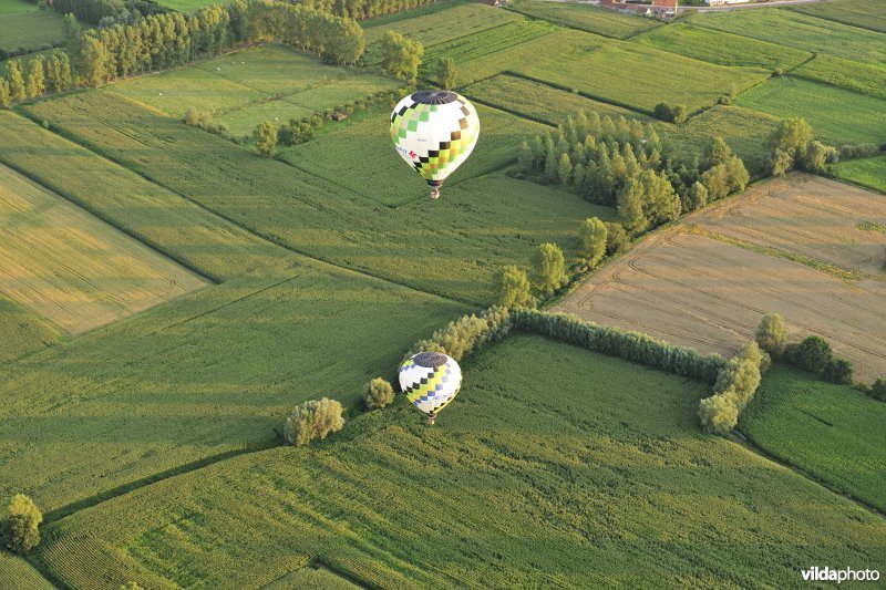 Luchtballonnen
