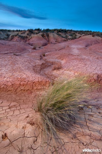 Landschap in de halfwoestijn van Bardenas Reales, Navarra, Spanje