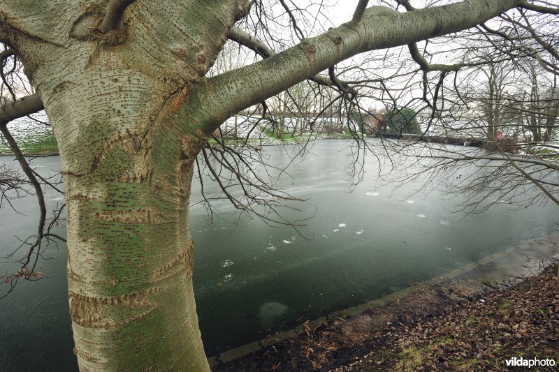 Walgracht rond Fort Lillo