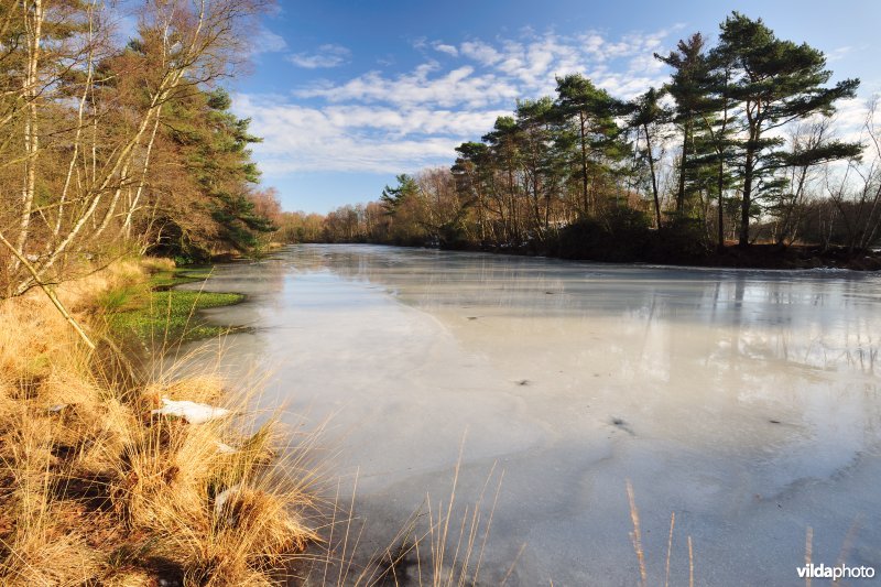 Bevroren walgracht rond Fort van Brasschaat
