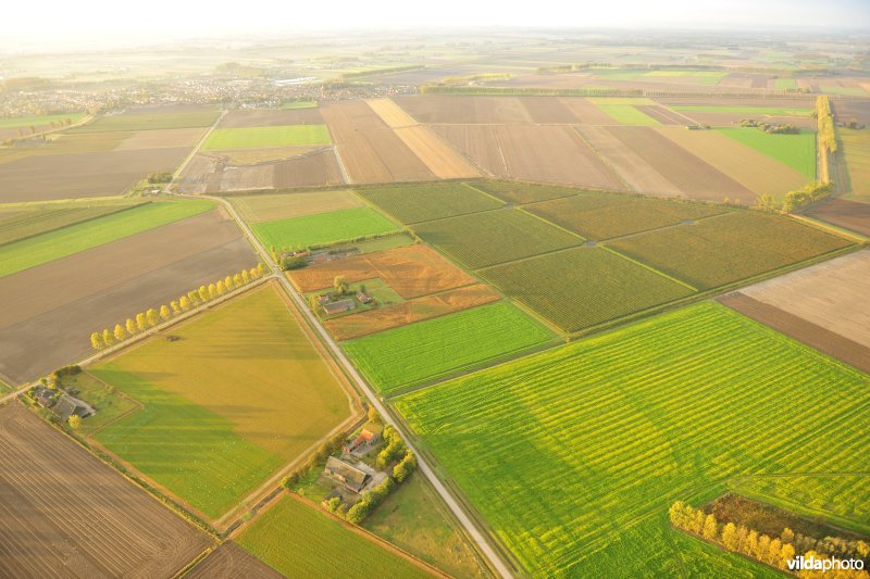 Veerstraat in de Hedwigepolder