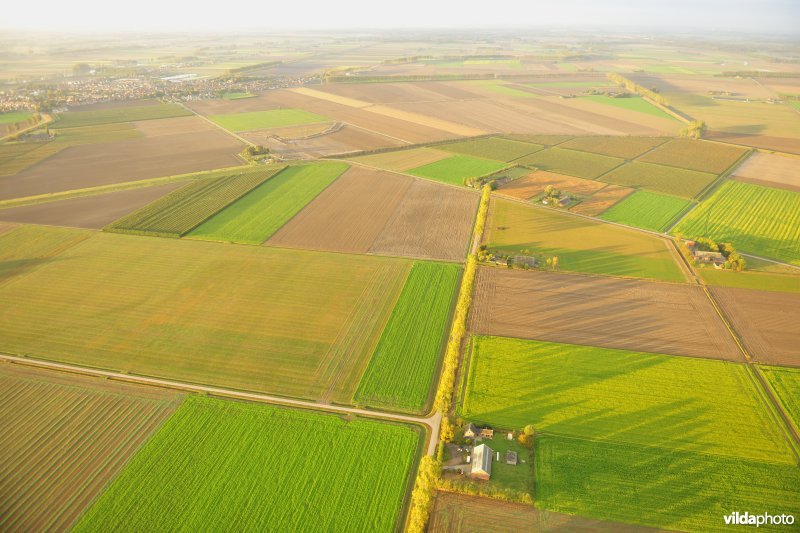 Langestraat in de Hedwigepolder