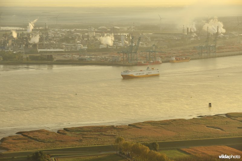Zeeschelde en schorren