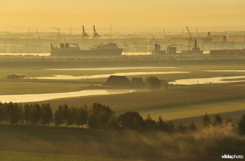 Doelpolder Noord en haven