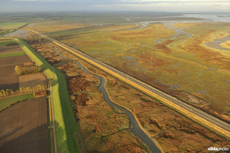 Het Sieperdaschor en Verdronken land van Saeftinghe