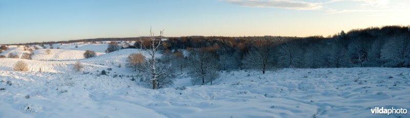 Panorama Veluwezoom