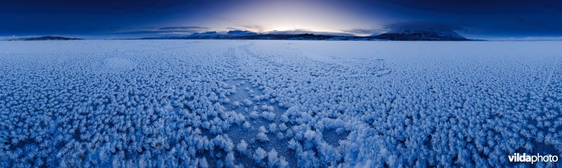 IJsroosjes op meer in Lapland