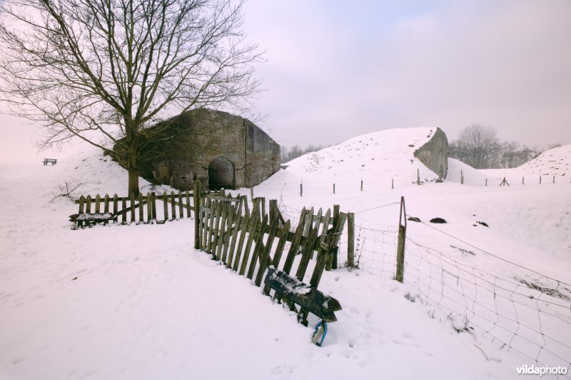 Fort Sabina