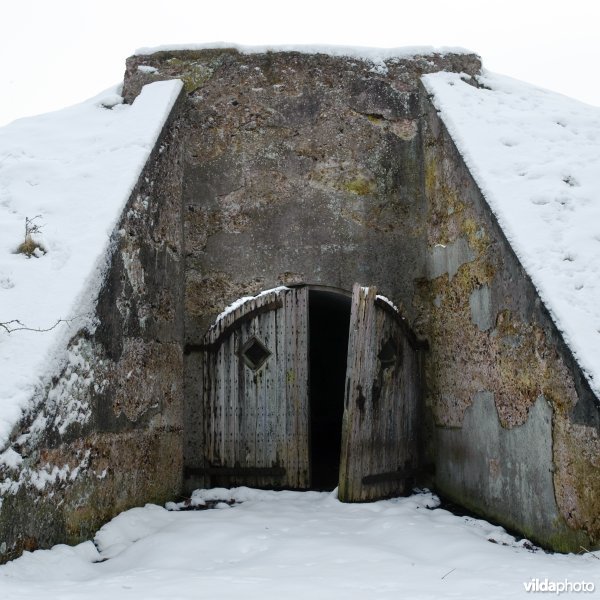 Fort Sabina